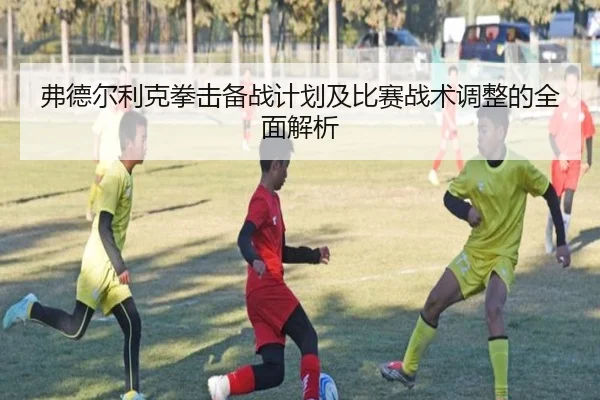 弗德尔利克拳击备战计划及比赛战术调整的全面解析